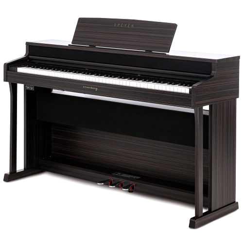 arsenberg-speyer-asdp30-01rs-dijital-p--5325e