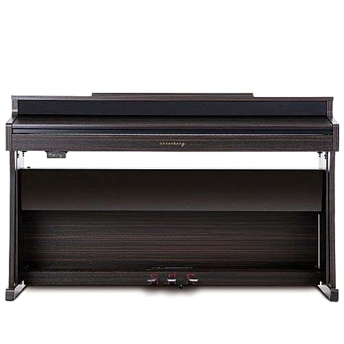 arsenberg-speyer-asdp30-01rs-dijital-p-a2d-36